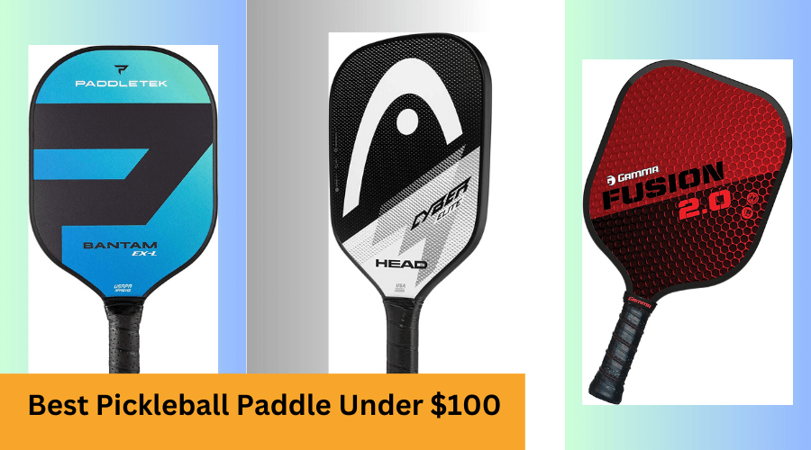 The 7 Best Pickleball Paddle Under $100
