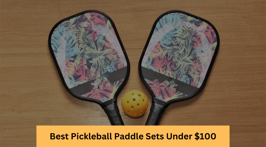 Updated List of the 9 Best Pickleball Paddle Sets Under $100