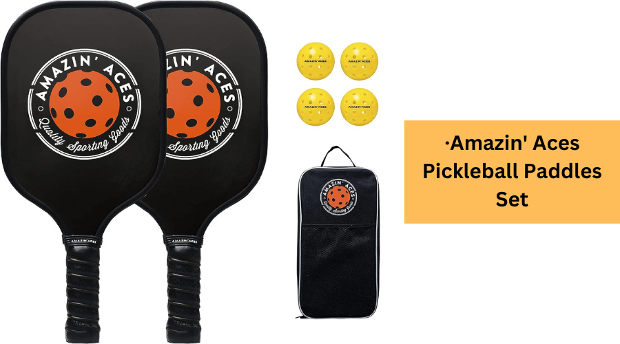 best pickleball paddle sets under $100